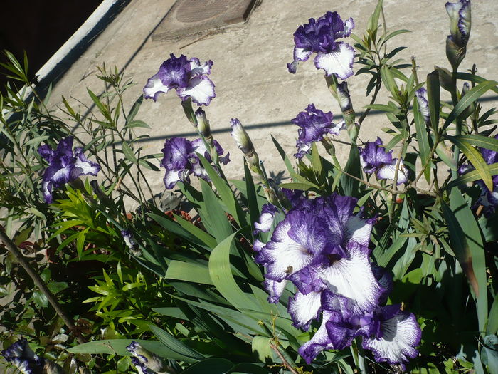P1260157