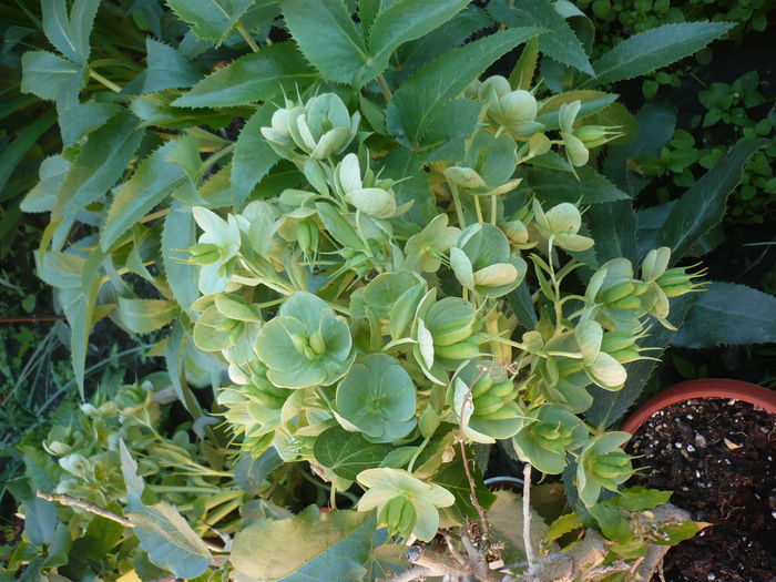 P1260160