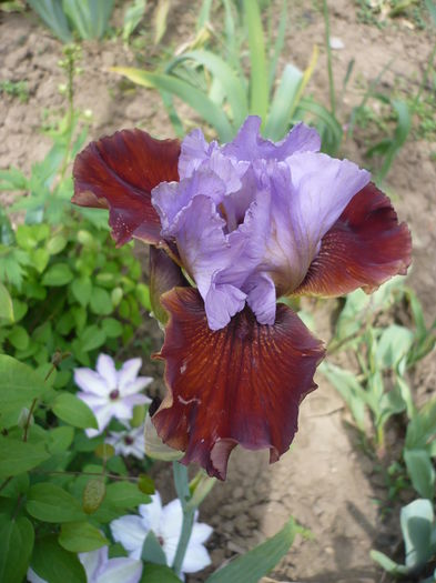 P1260180