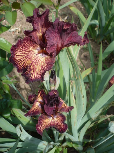P1260187