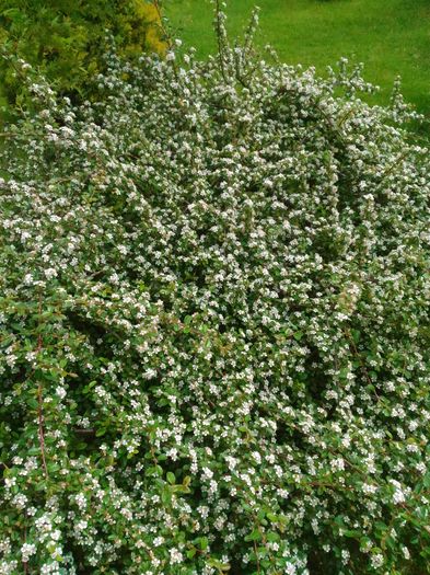 P_20160502_105413[1]