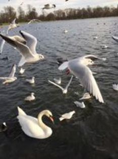 image - Natura