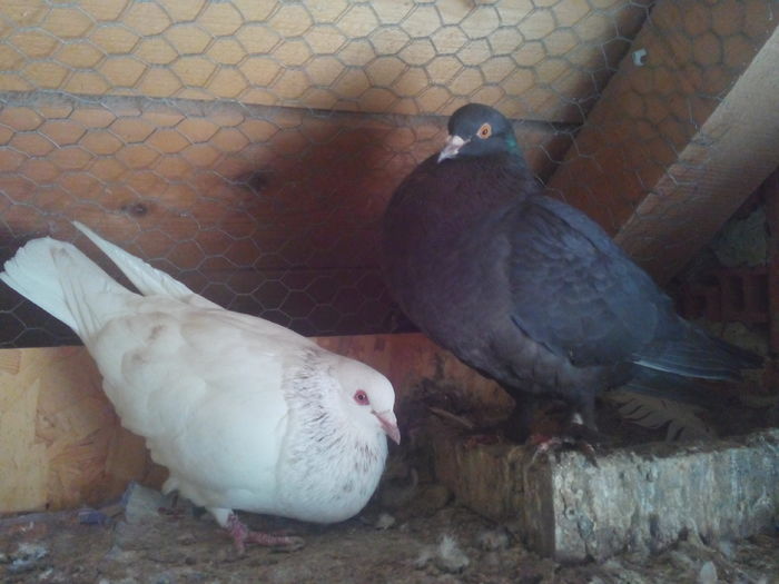 3; IMG_20160502_155431
