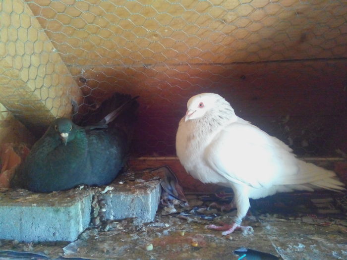 3; IMG_20160502_154817
