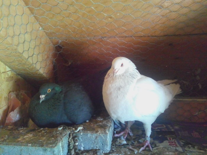 3; IMG_20160502_154801
