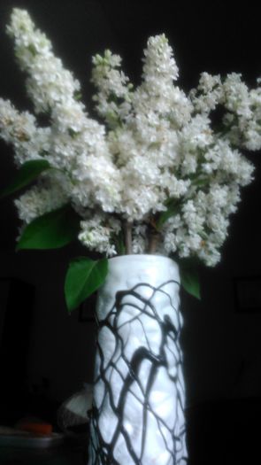 DSC_1634 - Flori in vaza