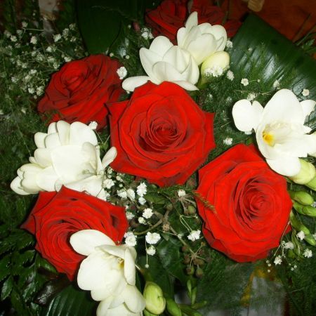 ))))(((( 034 - flori