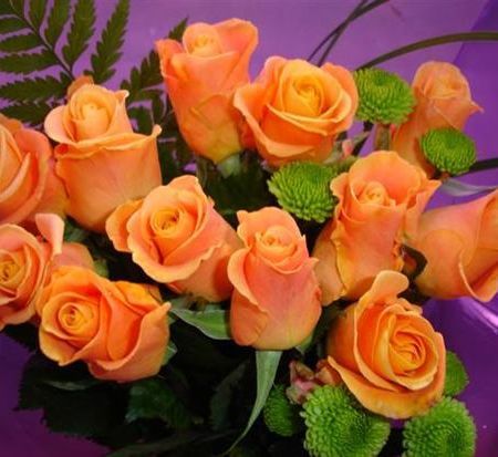 043057172a04c5a7f3824d7895a980d6_web - flori