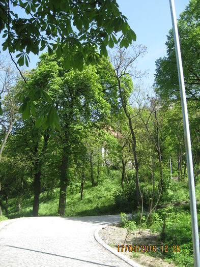 Am urcat cu telecabina...