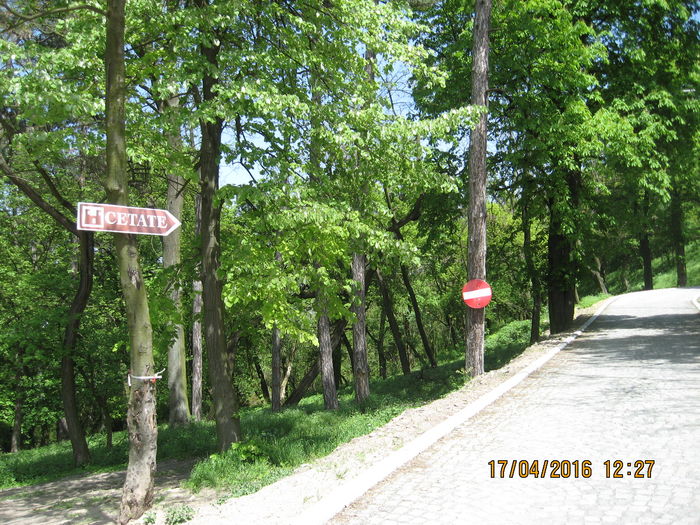 si am coborit de pe cetate pe jos.