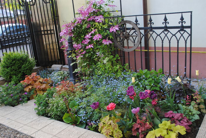 30 aprilie - 2016 gradina mea