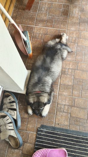 P_20160501_105312_HDR[1]