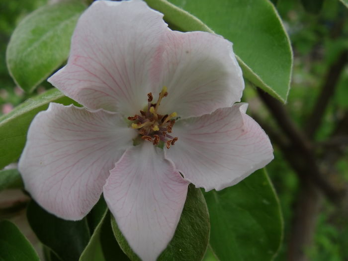  - E Florar in calendar