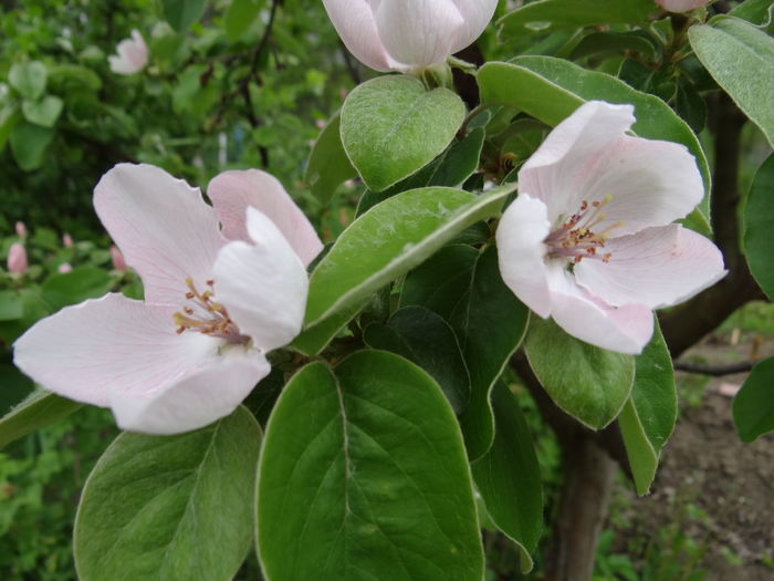  - E Florar in calendar
