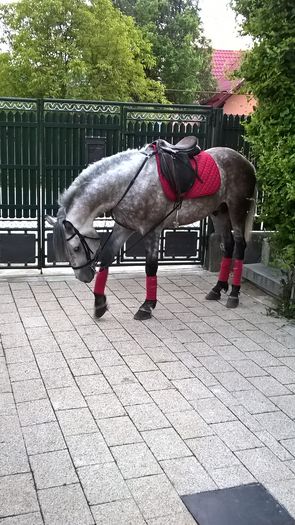 WP_20160430_19_59_41_Pro