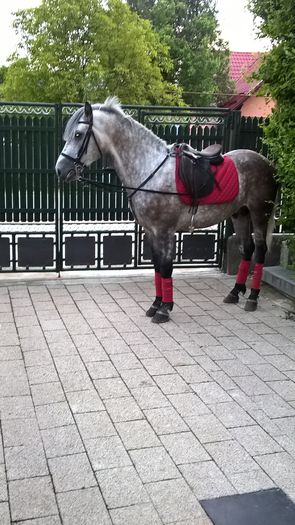 WP_20160430_19_59_43_Pro