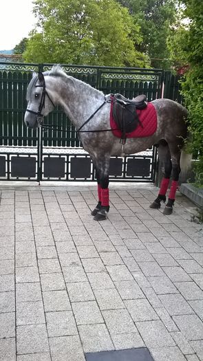 WP_20160430_19_59_48_Pro