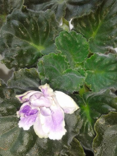 20160502_124714