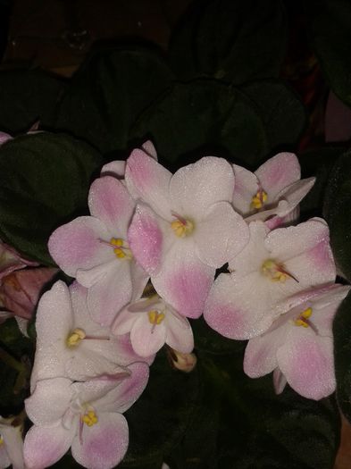 20160503_100456