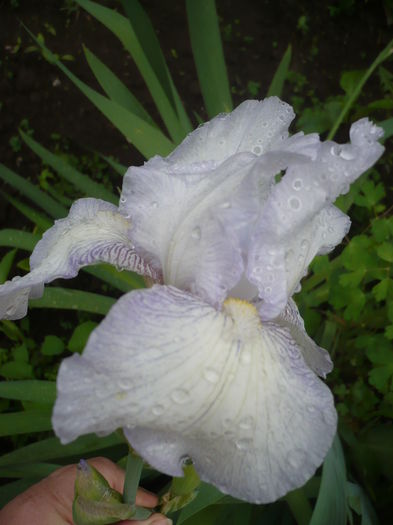 P1260210