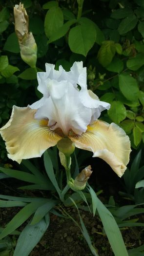 040