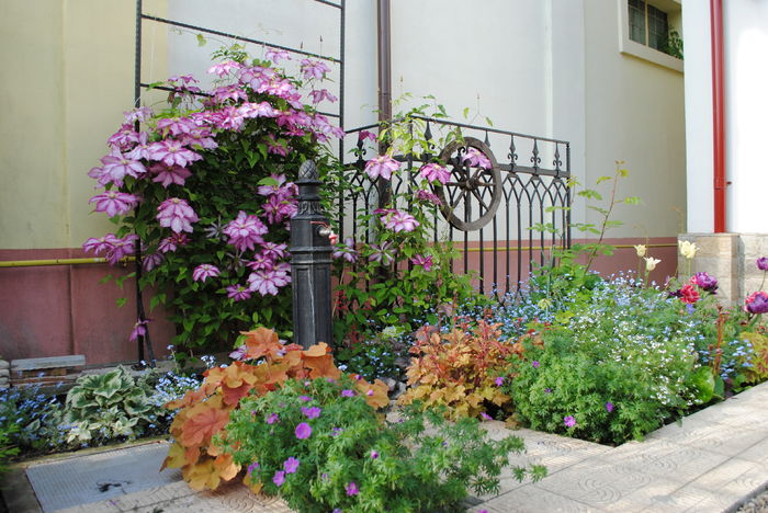 2 mai - 2016 gradina mea