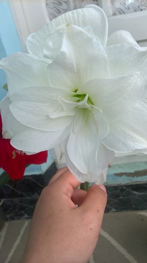 WP_20160429_10_04_50_Pro