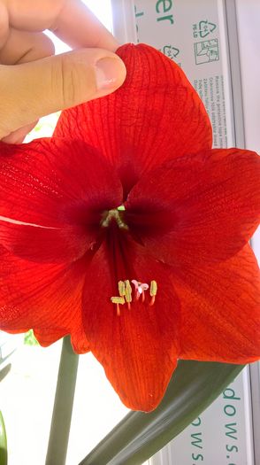 WP_20160427_13_53_39_Pro