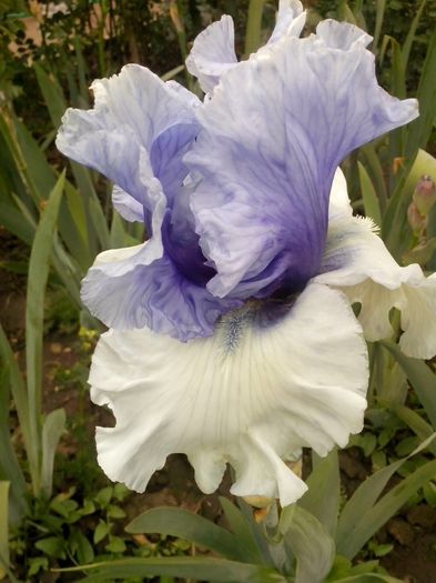 13123311_941324439347384_3079338771366802840_o