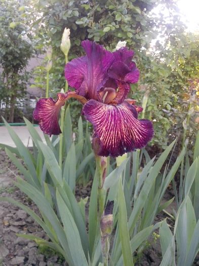 13147521_941324896014005_3628268731712982400_o