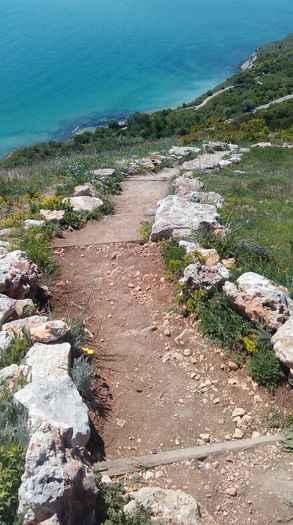 IMAG0266 - 2016 BULGARIA TOPOLA 1 MAI