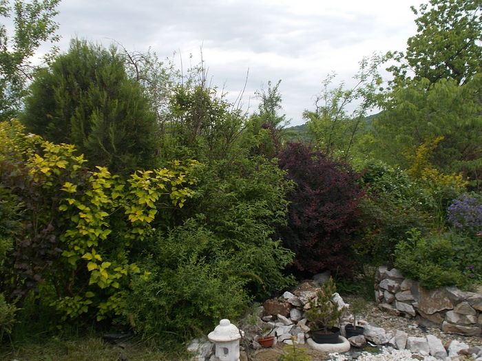 DSCN4560 - 2016