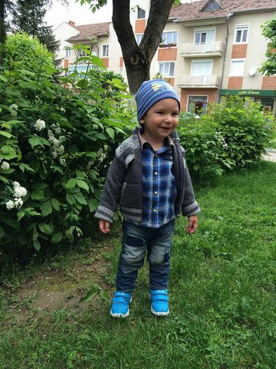 13102633_870931789702847_7787836341080086710_n