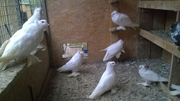 WP_20160424_19_07_29_Pro