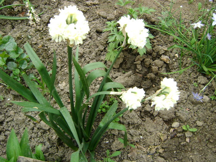 DSC02507