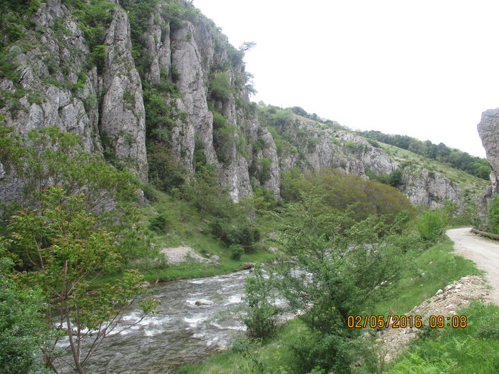 IMG_2683 - Valea Sohodolului in mai 2016