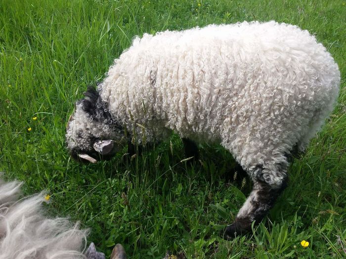 received_1063174000420520