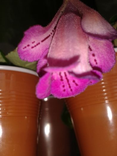 20160504_170107