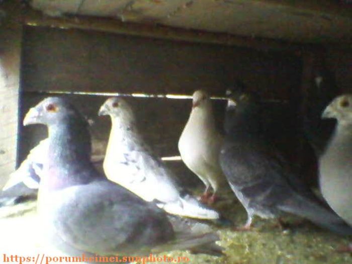 httpsporumbeimei.sunphoto.