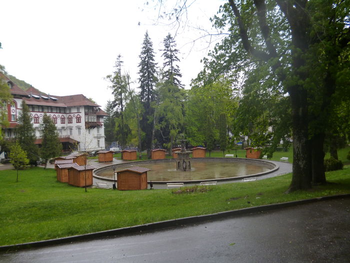 Sinaia 1; parc
