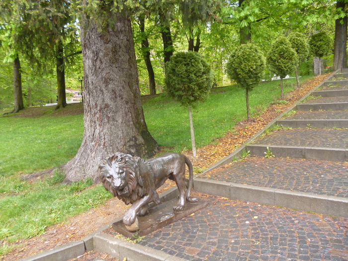 Sinaia 2; parc
