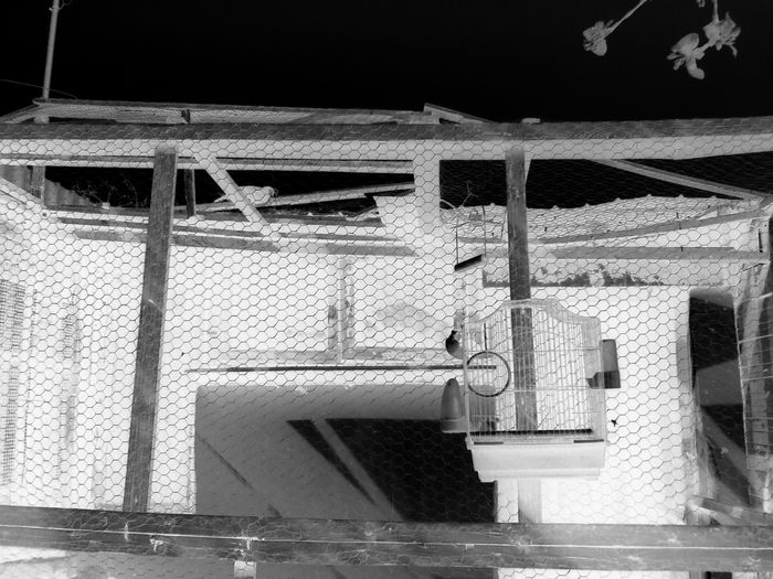 IMG_20160406_154621 - 0 Porumbeii mei 2016 2