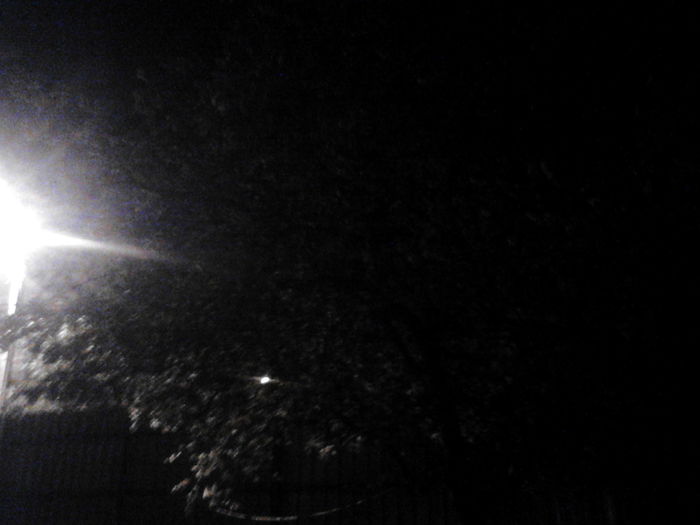 IMG_20160418_225431 - 0 Porumbeii mei 2016 2