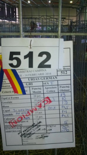 IMG_20160214_113628 - Divizia de iarna