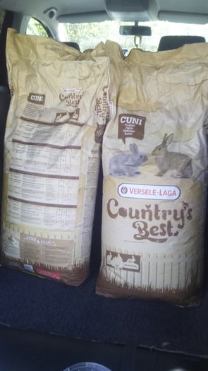 IMG_20160404_135852 - Divizia de iarna