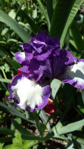 20160428_134109