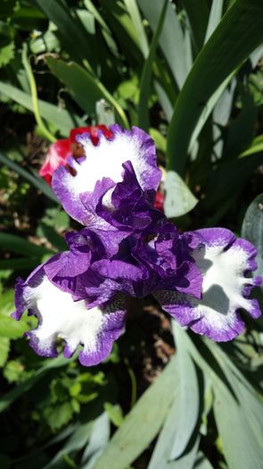 20160428_134115