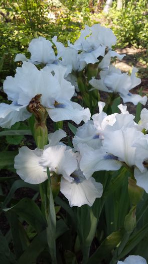 20160428_134708
