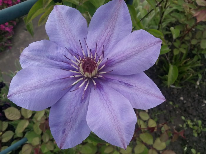 IMG_20160505_153557 - 2016 Primavara