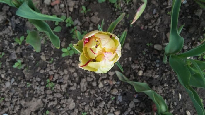 040